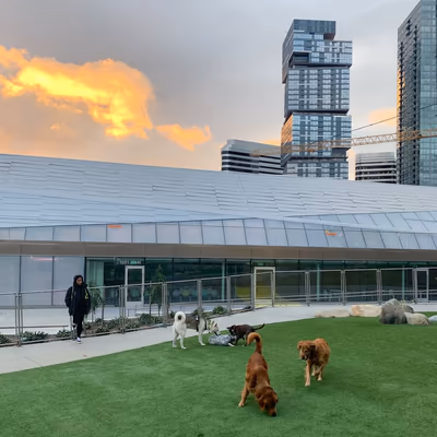 Denny Park Off-Leash Area photo 1